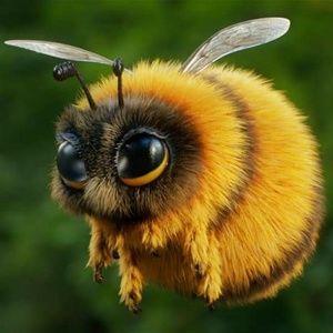 Meet your Posher, Erika